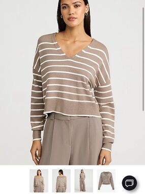 Express Taupe and White Striped V-Neck Sweater
